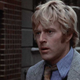 Illustration for article titled All nerdy government paper pushers look like Robert Redford, right?